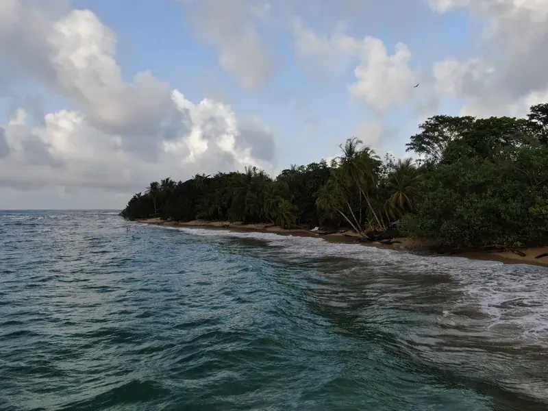 Traslado Privado: San José a Puerto Viejo