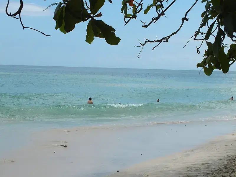 Private Shuttle: Liberia Airport (LIR) to Santa Teresa