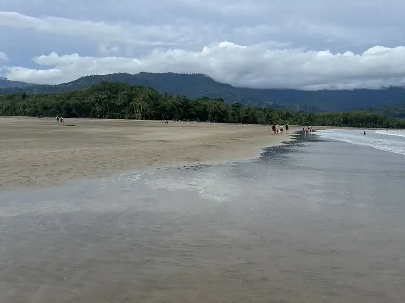 Traslado Privado: Aeropuerto de San José (SJO) a Uvita